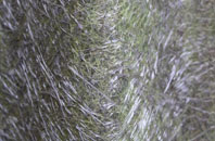 Pevensey fibreglass roof work